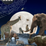 Tales of the Full Moon